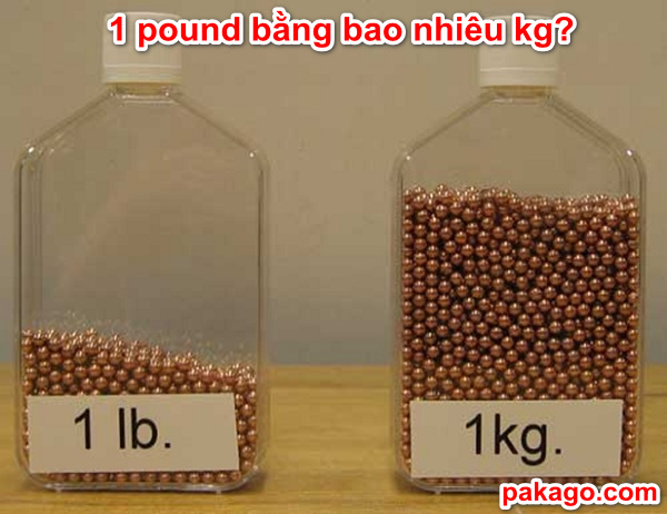 1 pound bằng bao nhiêu kg?