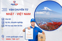 Chuyển hàng từ Nhật về Việt Nam an toàn, uy tín, chuyên nghiệp